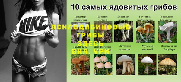 меф Алексин