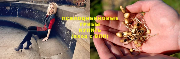 меф Алексин