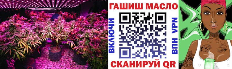Дистиллят ТГК гашишное масло  продажа наркотиков  MEGA онион  Кочубеевское 